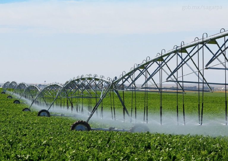 La triple crisis que enfrentamos: energía, alimentos y clima
